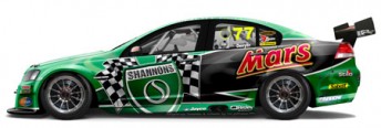 car The car that Cameron Waters and Grant Denyer will drive at Bathurst
