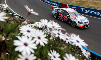Nick Percat's LDM Holden